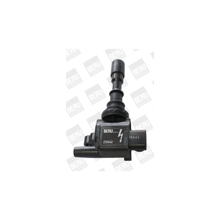 Ritė, uždegimas BorgWarner (BERU) ZS542