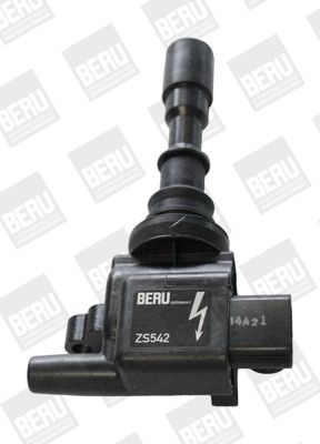 Ritė, uždegimas BorgWarner (BERU) ZS542