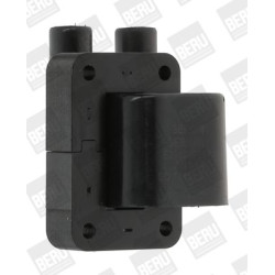 Ritė, uždegimas BorgWarner (BERU) ZS544