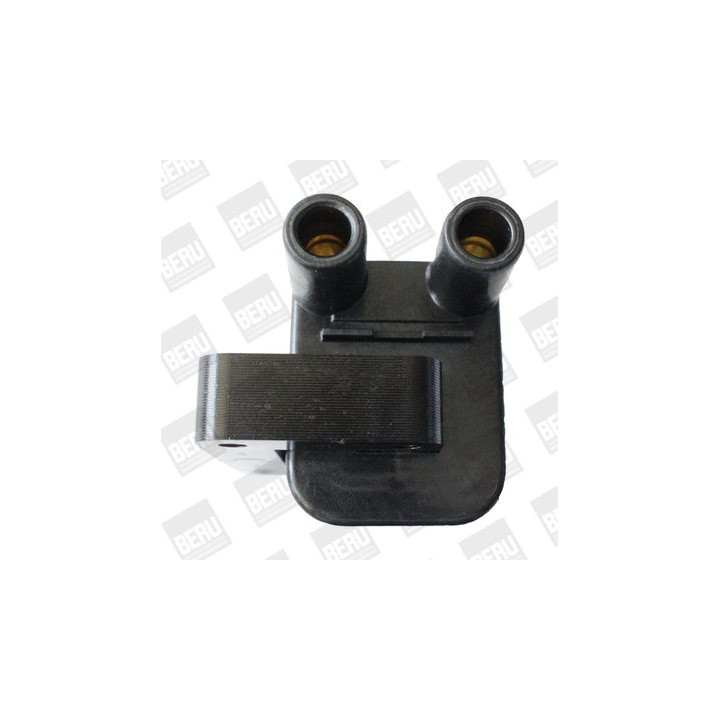 Ritė, uždegimas BorgWarner (BERU) ZS544