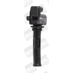 Ritė, uždegimas BorgWarner (BERU) ZS549