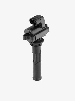 Ritė, uždegimas BorgWarner (BERU) ZS549