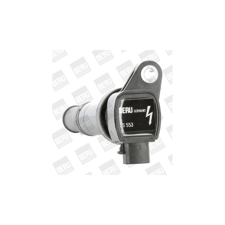 Ritė, uždegimas BorgWarner (BERU) ZS553