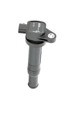 Ritė, uždegimas BorgWarner (BERU) ZS553