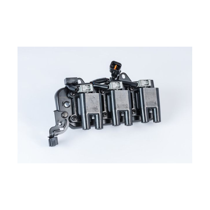 Ritė, uždegimas BorgWarner (BERU) ZS555