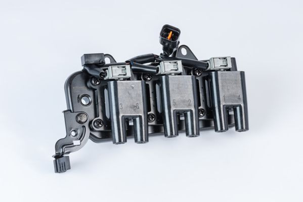 Ritė, uždegimas BorgWarner (BERU) ZS555