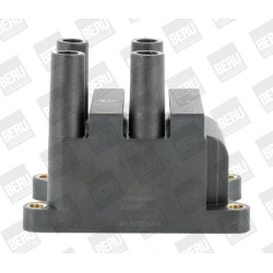 Ritė, uždegimas BorgWarner (BERU) ZS556