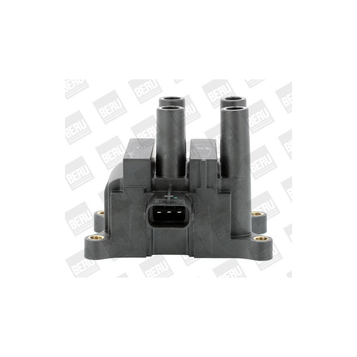 Ritė, uždegimas BorgWarner (BERU) ZS556