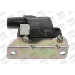 Ritė, uždegimas BorgWarner (BERU) ZS560