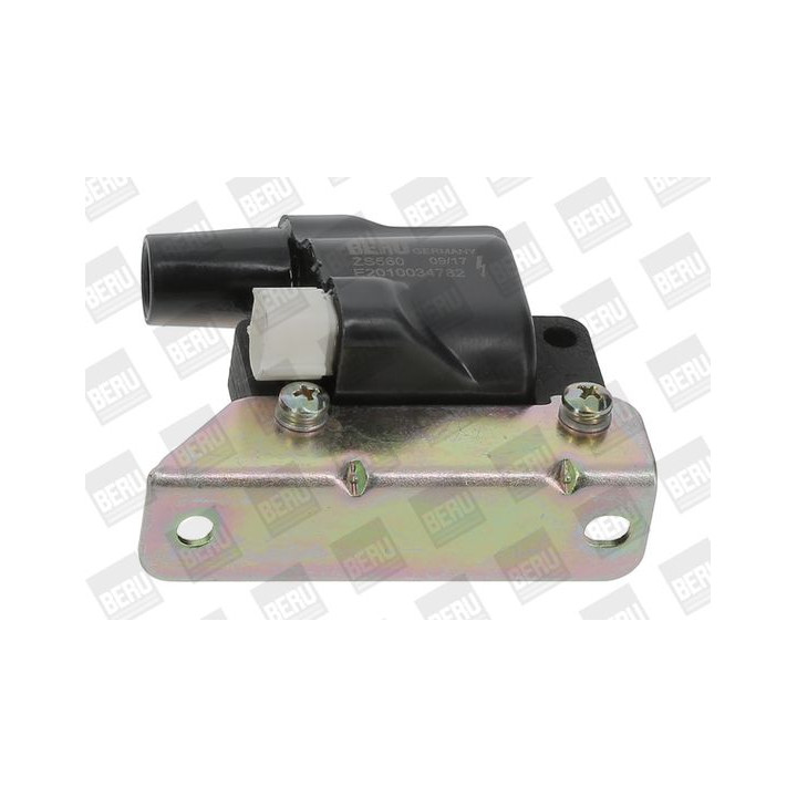 Ritė, uždegimas BorgWarner (BERU) ZS560