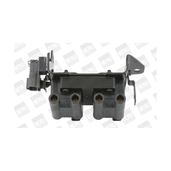 Ritė, uždegimas BorgWarner (BERU) ZS561