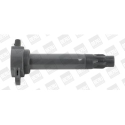 Ritė, uždegimas BorgWarner (BERU) ZS562