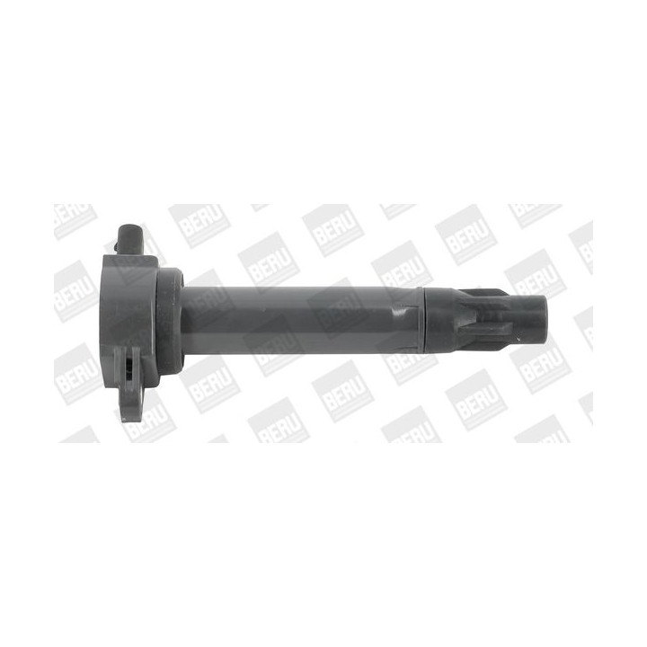 Ritė, uždegimas BorgWarner (BERU) ZS562