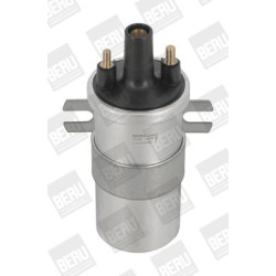 Ritė, uždegimas BorgWarner (BERU) ZS566