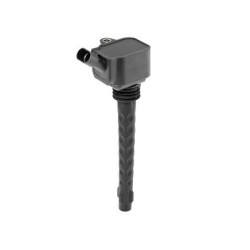 Ritė, uždegimas BorgWarner (BERU) ZS573