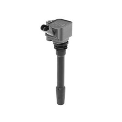 Ritė, uždegimas BorgWarner (BERU) ZS587