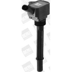 Ritė, uždegimas BorgWarner (BERU) ZS588