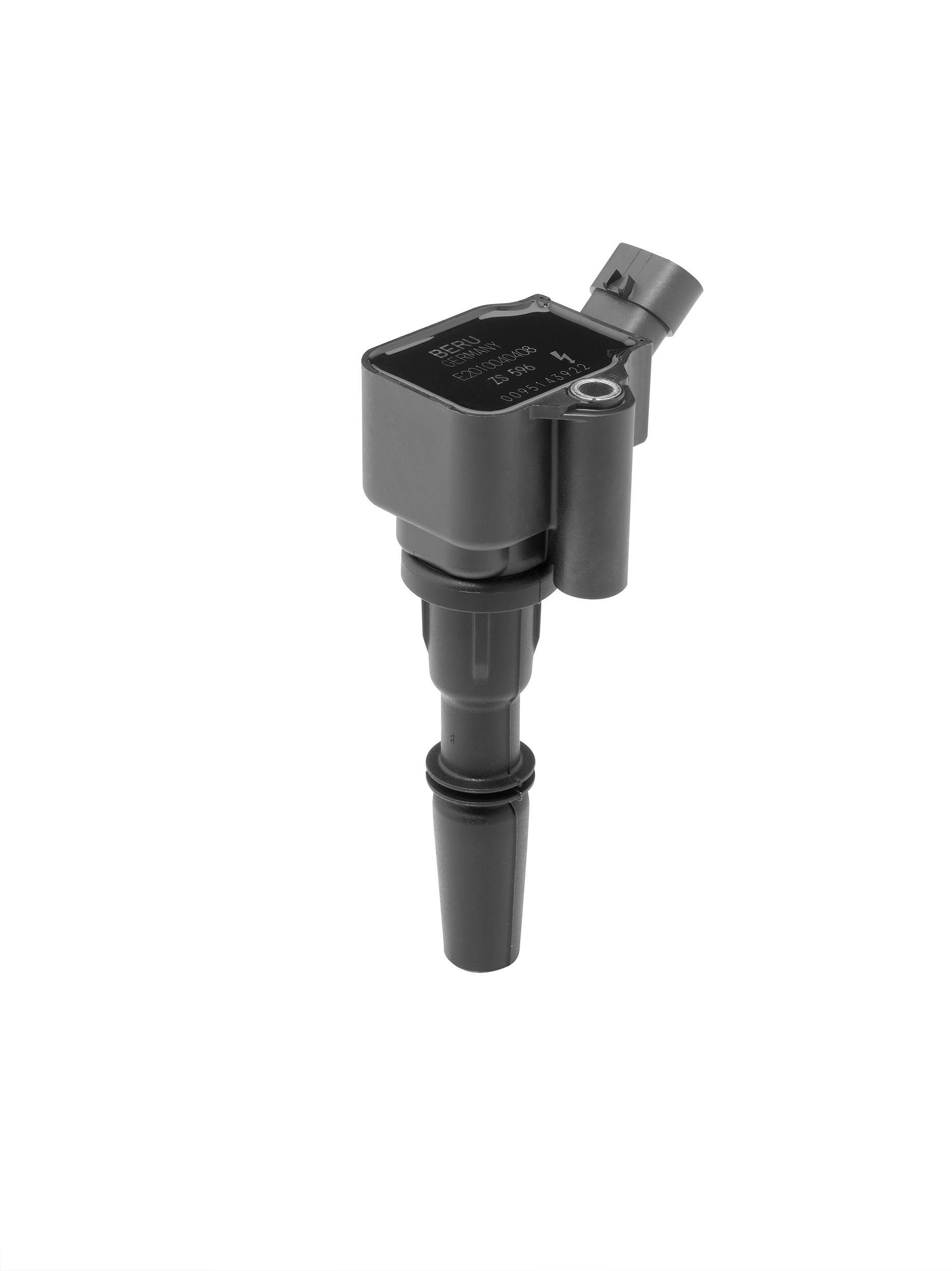 Ritė, uždegimas BorgWarner (BERU) ZS596