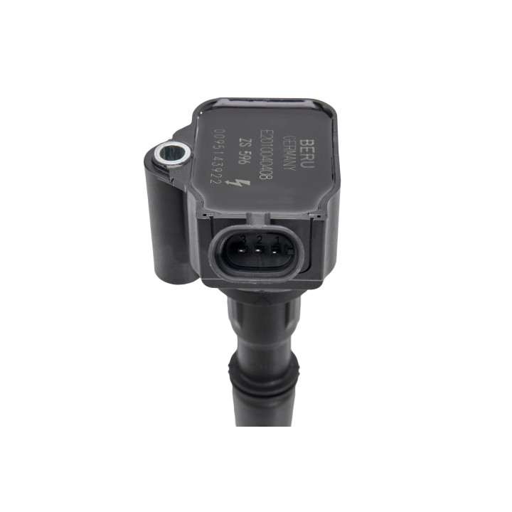 Ritė, uždegimas BorgWarner (BERU) ZS596