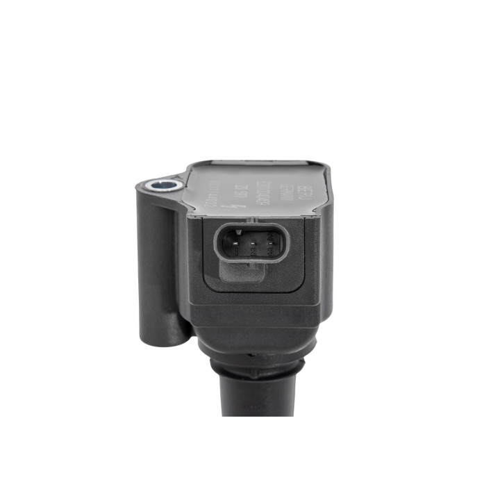 Ritė, uždegimas BorgWarner (BERU) ZS597