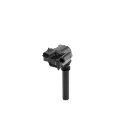 Ritė, uždegimas BorgWarner (BERU) ZS598