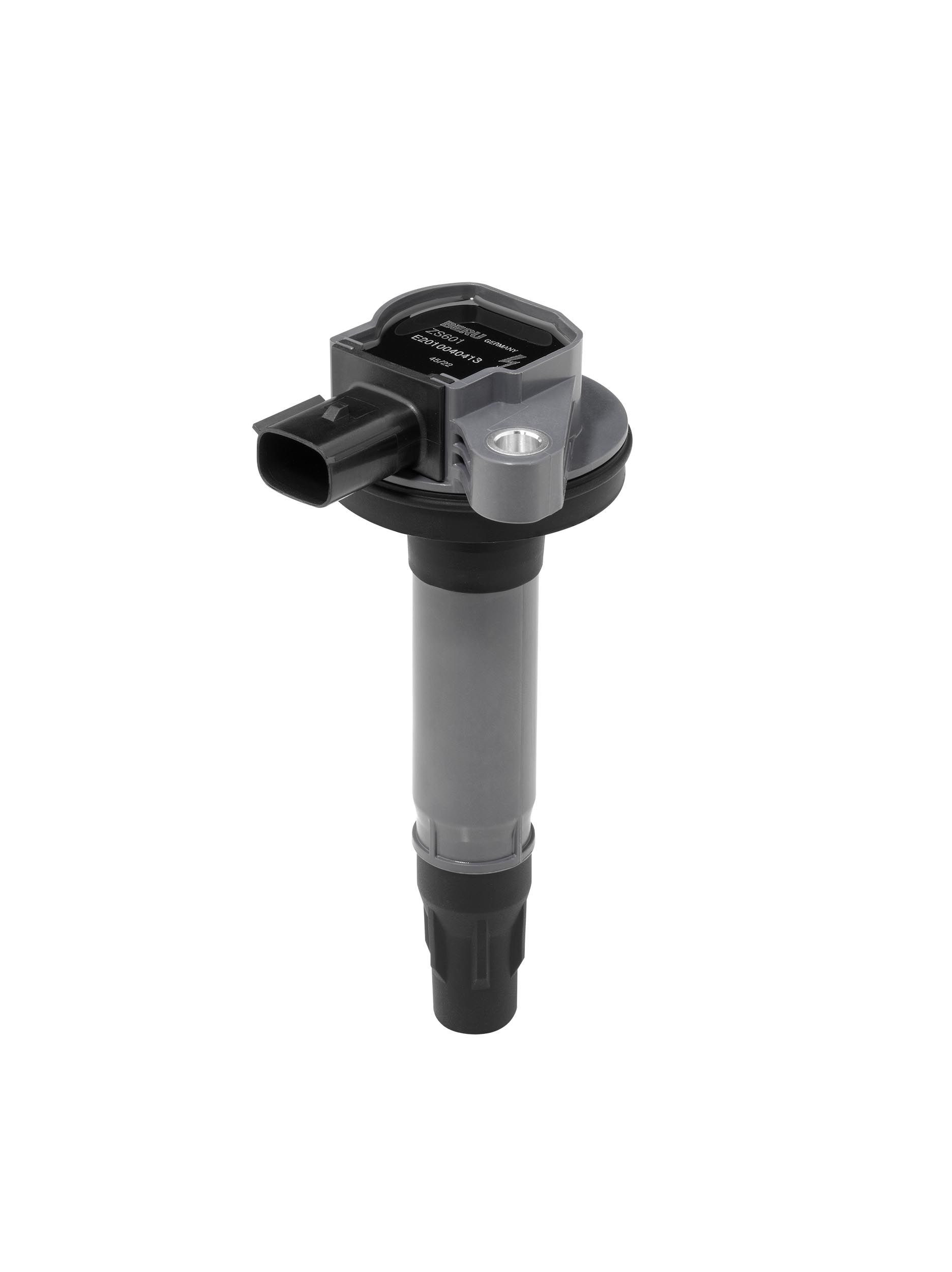 Ritė, uždegimas BorgWarner (BERU) ZS601