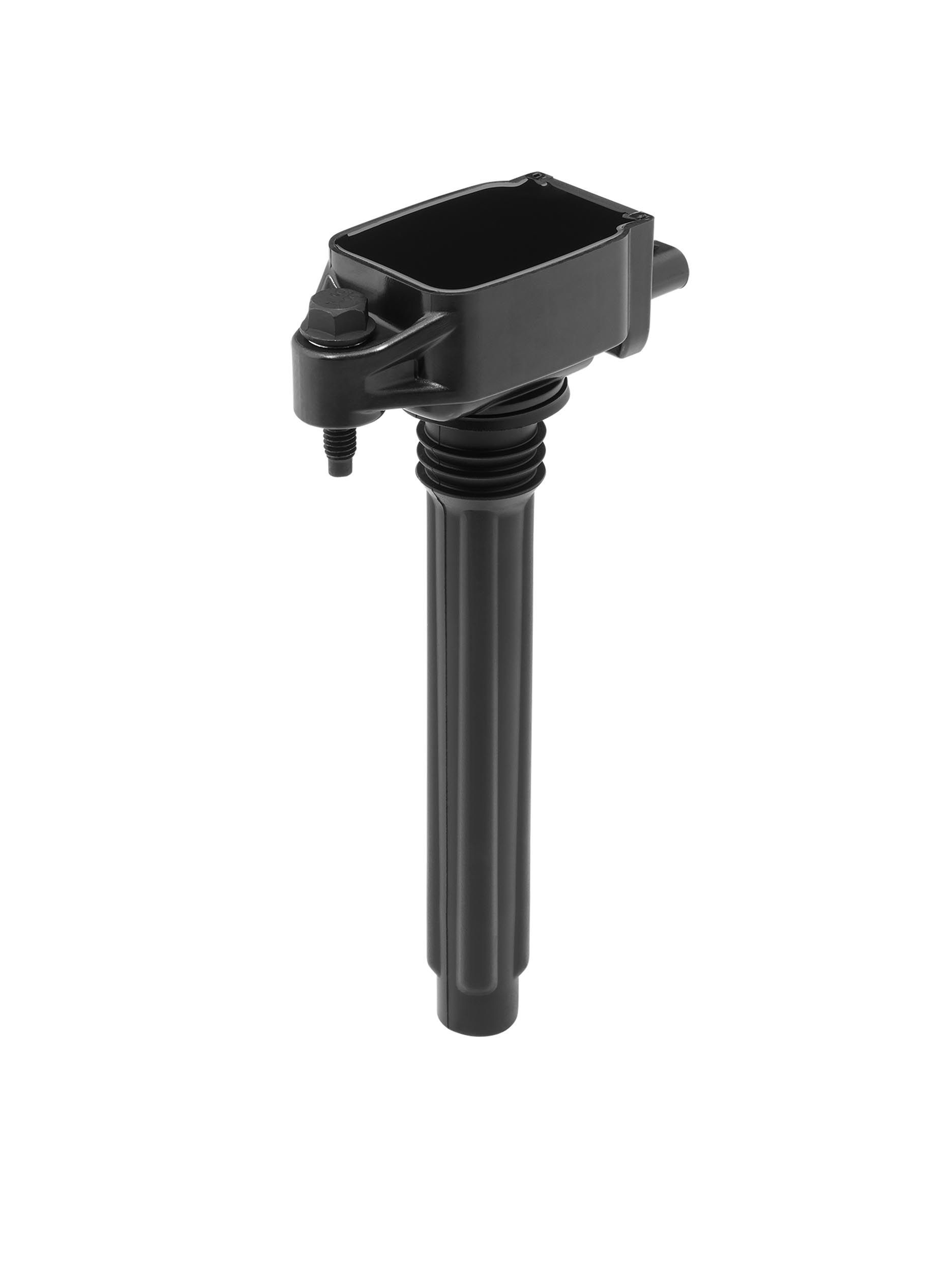 Ritė, uždegimas BorgWarner (BERU) ZS604