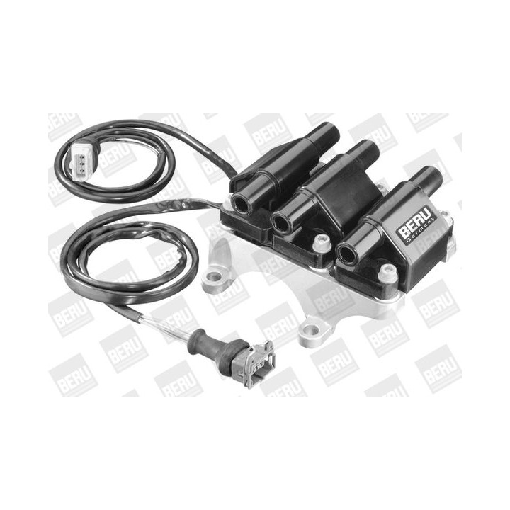 Ritė, uždegimas BorgWarner (BERU) ZSE008