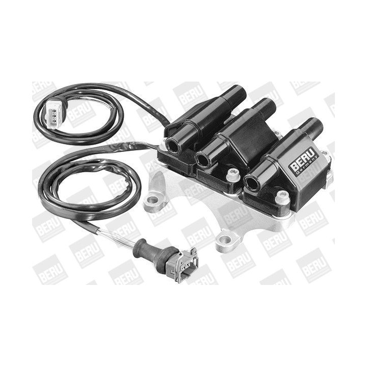 Ritė, uždegimas BorgWarner (BERU) ZSE008