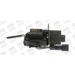 Ritė, uždegimas BorgWarner (BERU) ZSE011