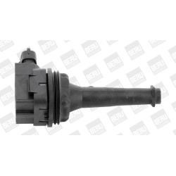 Ritė, uždegimas BorgWarner (BERU) ZSE019