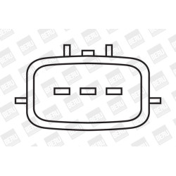 Ritė, uždegimas BorgWarner (BERU) ZSE020