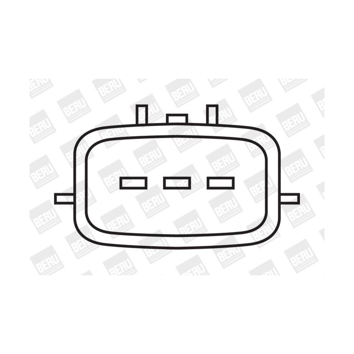 Ritė, uždegimas BorgWarner (BERU) ZSE020