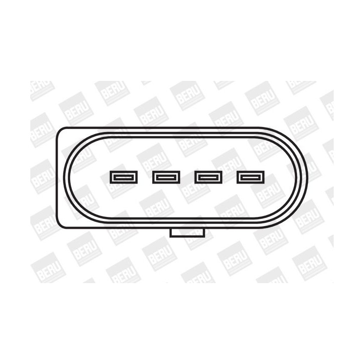 Ritė, uždegimas BorgWarner (BERU) ZSE030