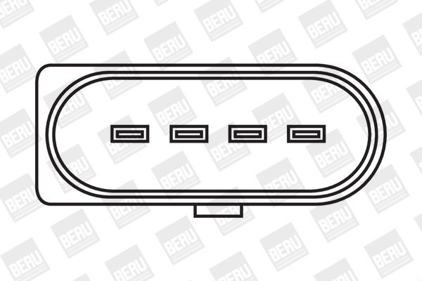 Ritė, uždegimas BorgWarner (BERU) ZSE030