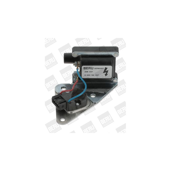 Ritė, uždegimas BorgWarner (BERU) ZSE037