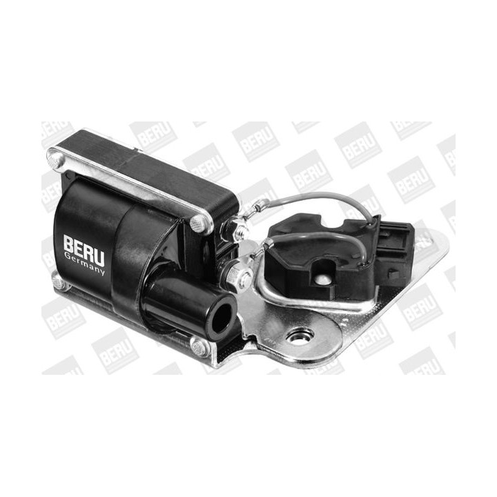 Ritė, uždegimas BorgWarner (BERU) ZSE037