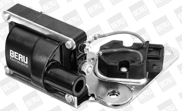 Ritė, uždegimas BorgWarner (BERU) ZSE037