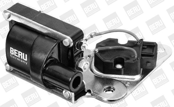 Ritė, uždegimas BorgWarner (BERU) ZSE037