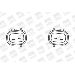 Ritė, uždegimas BorgWarner (BERU) ZSE038