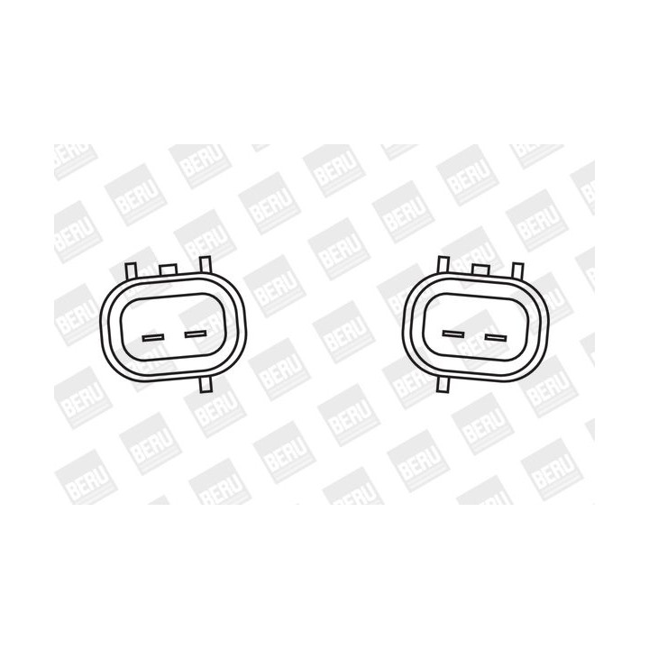 Ritė, uždegimas BorgWarner (BERU) ZSE038