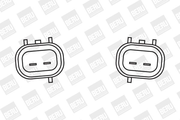 Ritė, uždegimas BorgWarner (BERU) ZSE038