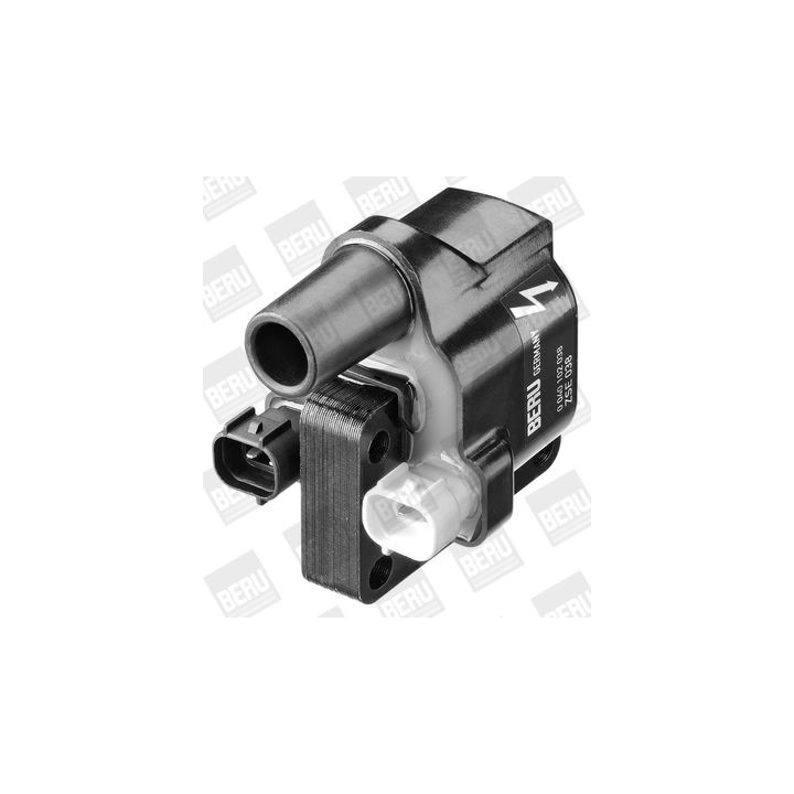 Ritė, uždegimas BorgWarner (BERU) ZSE038