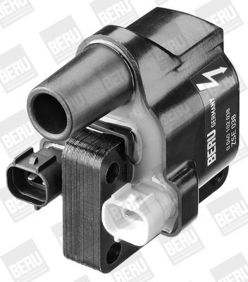 Ritė, uždegimas BorgWarner (BERU) ZSE038