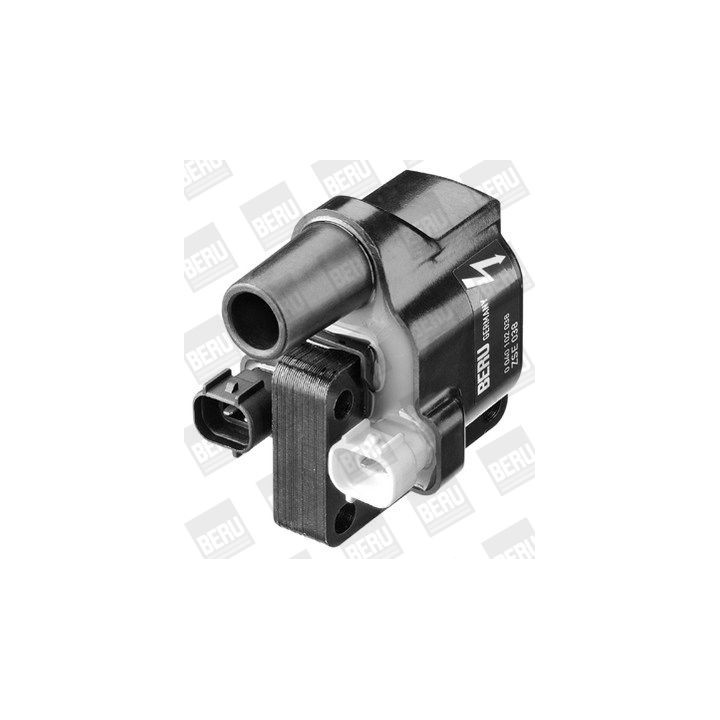 Ritė, uždegimas BorgWarner (BERU) ZSE038