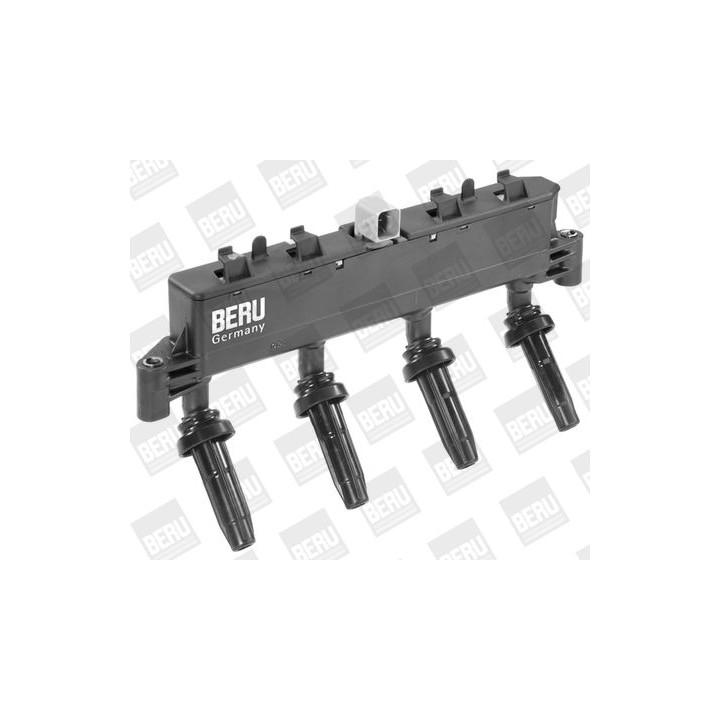 Ritė, uždegimas BorgWarner (BERU) ZSE047