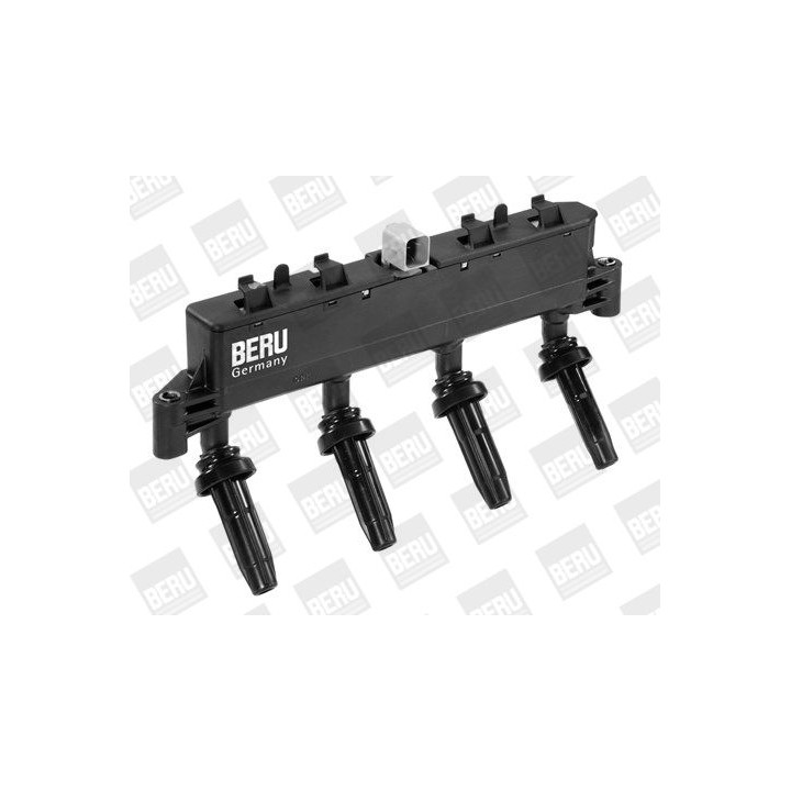 Ritė, uždegimas BorgWarner (BERU) ZSE047