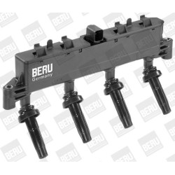 Ritė, uždegimas BorgWarner (BERU) ZSE048