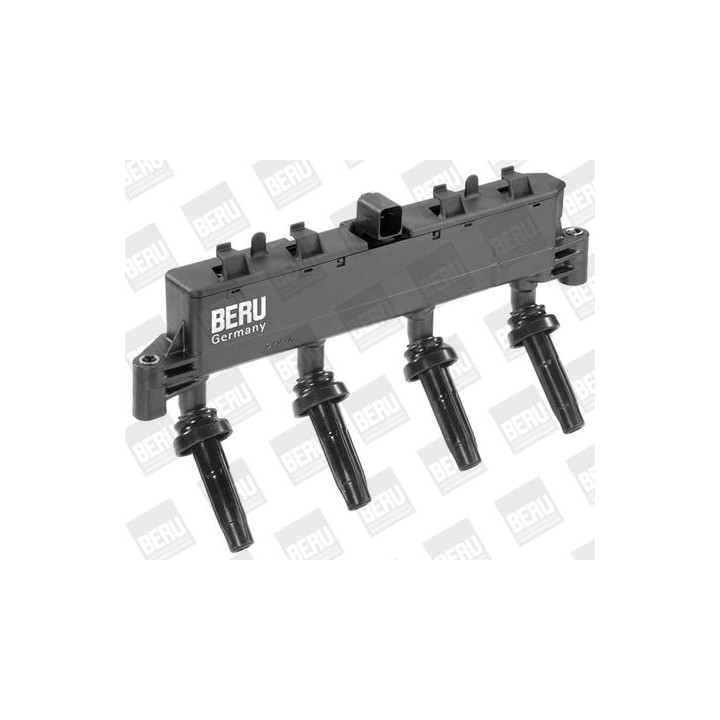 Ritė, uždegimas BorgWarner (BERU) ZSE048