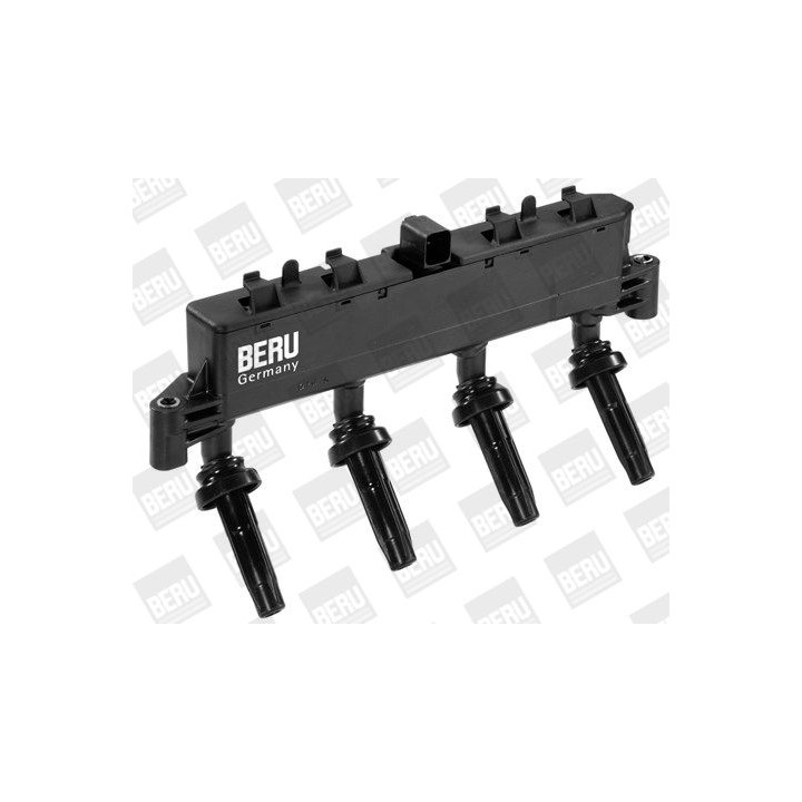 Ritė, uždegimas BorgWarner (BERU) ZSE048